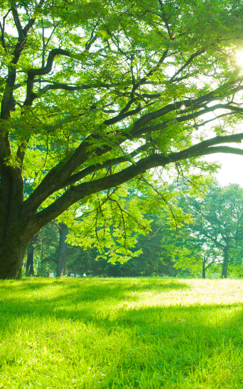 speeltuin valtegels rubberen tegels