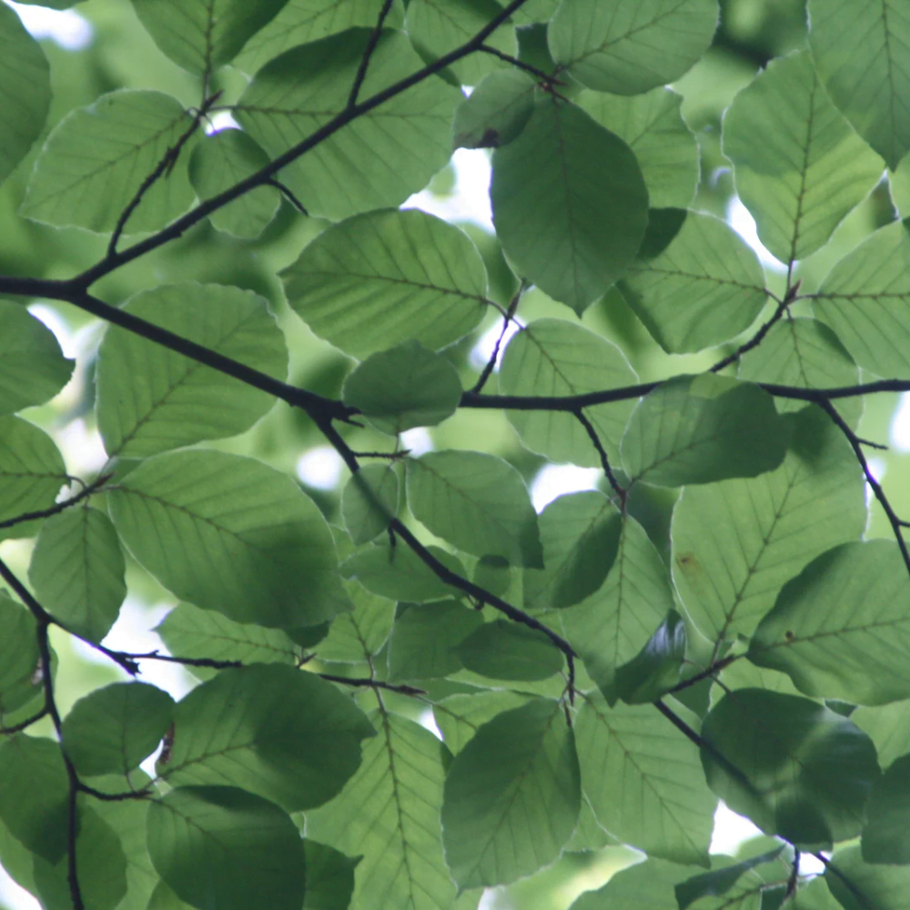 duurzaam gebruikte rubberen tegels